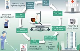 The cocoon® platform is built on flexibility. Bioinsights Automation What Will The Cell Therapy Laboratory Of The Future Look Like