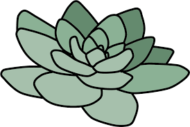 Potted cactus temporary tattoos, succulent house plants, black line drawing, nature tattoo. Cactus Suculent Tumblr Plant Green Niebieskoka Drawing Picsart Photo Studio Clipart Full Size Clipart 1355766 Pinclipart