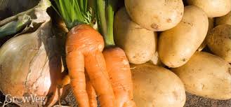 Each vegetable should to be stored separately, so that they do not touch one with the other. Storing And Preserving Your Garden Harvest