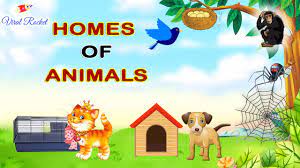 Homes Of Animals And Birds Animal And Their Home Names Animals And Their Homes Kids Learning Videos Pet Birds