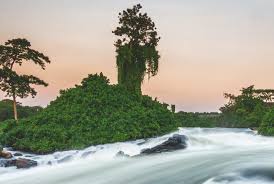 Very soon we will go south. Bespoke Safaris In Lake Victoria Uganda Journeys By Design