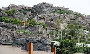 china rock mountain에 대한 이미지 검색결과