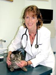 Pet boarding and kennels in san diego county, ca. Dr Ann Middleton In The San Diego Pets Magazine