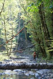 Gales creek, or directions {{::location.tagline.value.text}} sponsored topics. Gales Creek Stream Designed To Improve Fish Habitat News Tillamookheadlightherald Com