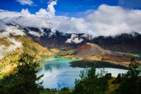 Hasil gambar untuk pecinta alam indonesia