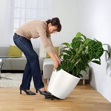 Lechuza Plant Pot Classico Premium 50 Ls Interismo Online Shop Global When you tell people that you paid $50, $80, or. lechuza plant pot classico premium 50 ls