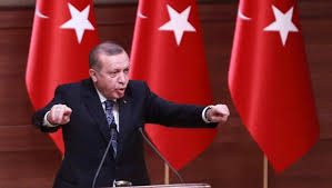 Tümü | bugün sorunsallar (11). Erdogan It Saddens Me To See Egyptians In Solidarity With Greeks Greek City Times