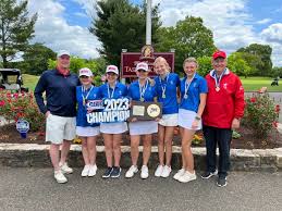 Cheshire, Berlin, Guilford Golfers Win Titles In State Tournament Play