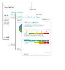 Iavm Executive Summary Report Sc Report Template Tenable