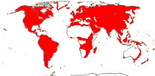 Image result for Rosaceae