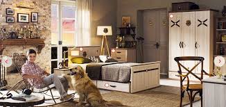 Cilek Genc Odasi Takimlari Royal Cekirdek Oda Paketi 2302 Tl Taksitli Fiyatsa 2475 Tl Dir Mobilya Genc Odasi Karyola