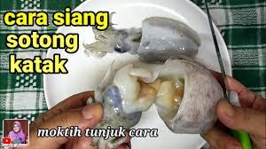 Untuk membuat sotong menjadi rangup, sediakan air kapur. Cara Siang Sotong Katak English Subtitles Moktihchannel Youtube
