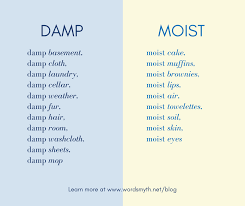 Do not do this with a regular home vacuum. Damp Vs Moist Wordsmyth Blog