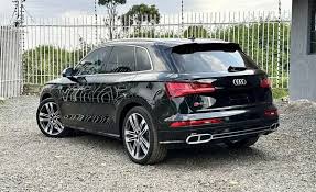 Image result for Mythos Black 2018 SQ5