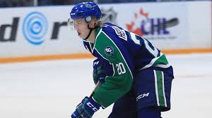 Heponiemi, 20, completed his first professional season, appearing in 50 games for kärpät of finland's liiga and in the playoffs, heponiemi tallied three goals in 17 games. Broncos Aleksi Heponiemi Named Chl Player Of The Week Chl