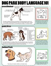 Dog Body Language Chart Decoding Behavior The Whoot