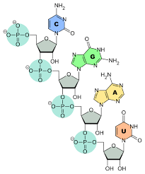 Pin On Quimica