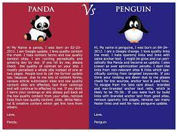 Google panda, penguin, and hummingbird: What Is Google Panda And Penguin Algorithm Seo On Page Optimization