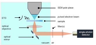 Has been employed by almost every scanning produce a maximum voltage gain of 60 db, to a range. Schematic Depiction Of An Integrated Optical And Electron Microscope A Download Scientific Diagram