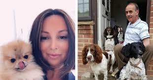 Maidstone Springers kennel owner speaks out as beloved puppy dies after  being in his care