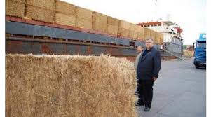 Bulgaristan'dan saman geldi