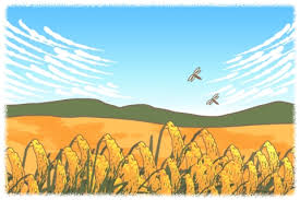ãç¨²ç© ã¤ã©ã¹ããã®ç»åæ¤ç´¢çµæ