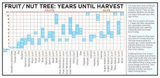 barriers to growing fruit trees it takes too long backyard