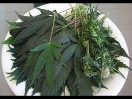 إبن الأتراك يقترب من غرف خلع ملابس اتلتيكو. Ø§Ù„Ù…Ø§Ø±ÙŠØ¬ÙˆØ§Ù†Ø§ ÙˆØ§Ù„Ø­Ø´ÙŠØ´ ÙˆØ§Ù„Ù‚Ù†Ø¨ Ù…Ù† Ø§Ù„Ø§Ù„Ù Ø§Ù„ÙŠ Ø§Ù„ÙŠØ§Ø¡ Youtube