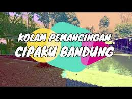 Kolam Pemancingan Cipaku Tempat Wisata Nyaman Dan Asri Buat Liburan Keluarga Di Bandung Youtube