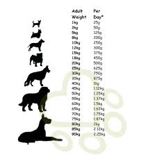How Much Should I Feed My Dog Dogsfirstireland Raw Dog Food