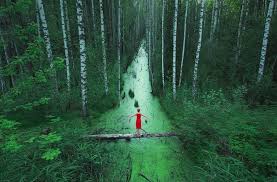 After all the heard legends of blue lakes, be sure to wash in the refreshing boltiksky spring. 3 Belarus Nature Photography By Ivan Letochin Images