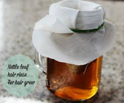 Steep one teaspoon per cup for 20 minutes, strain and drink. Nettle Hair Growth Rinse