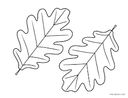 These leaf coloring sheets also gives your child an opportunity to celebrate the changing seasons. Free Printable Leaf Coloring Pages For Kids