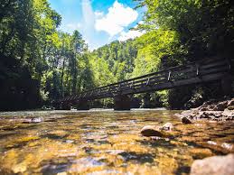 Maybe you would like to learn more about one of these? Nationalpark Risnjak Kroatien Reisefuhrer