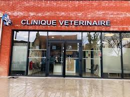We did not find results for: Clinique Veterinaire Wattivet Home Facebook