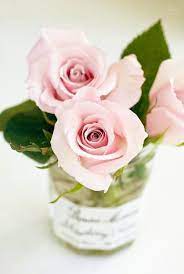 خاص بملحقات التصميم On Twitter In 2021 Flower Arrangements Flowers Photography Beautiful Roses