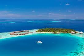 The Islandchief