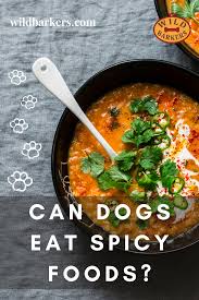 Pin On Can Dogs Eat