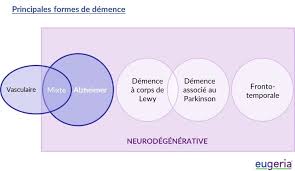 Déclins cognitifs et démences vasculaires thierry voisin déclin cognitif et syndrome démentiel • le terme de déclin. Quelles Sont Les Formes De Demence Et Pourquoi Les Distinguer Eugeria