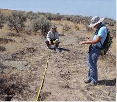 This activity is best suited for the beach because that's the best metal detector for the beach includes all the features suitable for saltwater use and water in general. Portable Antiquity Collecting And Heritage Issues More Metal Detecting Along The Oregon Trail