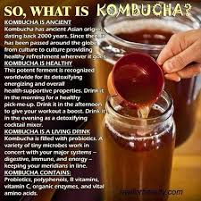 How To Make Kombucha Tea At Home Http Www Thekitchn Com How To Make Kombucha Tea At Home 173858 Kombucha Vorteile Kombucha Kombucha Rezept