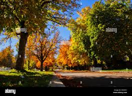 Belle forêt d'automne lake à Ifrane, Maroc. Les feuilles d'automne automne  Photo Stock - Alamy