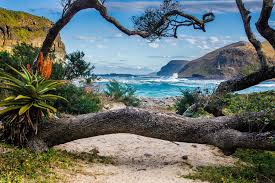 45 fotos más cerrar ×. The 30 Best Beaches In Africa