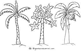 We did not find results for: Gambar Mewarnai Pohon Terbaru Menggambar Pohon Menggambar Bunga Sketsa Bunga