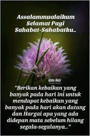 Gambar bunga cantik ucapan selamat pagi. Gambar Bunga Cantik Selamat Pagi Kumpulan Gambar Bunga Selamat Pagi Kutipan Selamat Pagi Pagi