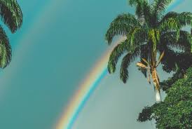 And the dreams that you dream of dreams really do come true. How To Play Somewhere Over The Rainbow On Ukulele