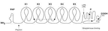 Sbi Structural Bioinformatics