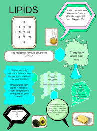 Biochemistry Tests For Food Macromolecules Lipid Answers Lipids Biochemistry Biology Lessons Chemistry