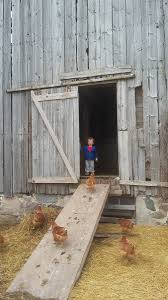 60% off sale going on at ll bean right now. Lindsay Higgins On Twitter Barn Board For Sale 3 50 Ft