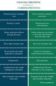 Difference Between Channel Proteins And Carrier Proteins Comparison Summary Biology Textbook Study Chemistry Biochemistry Notes